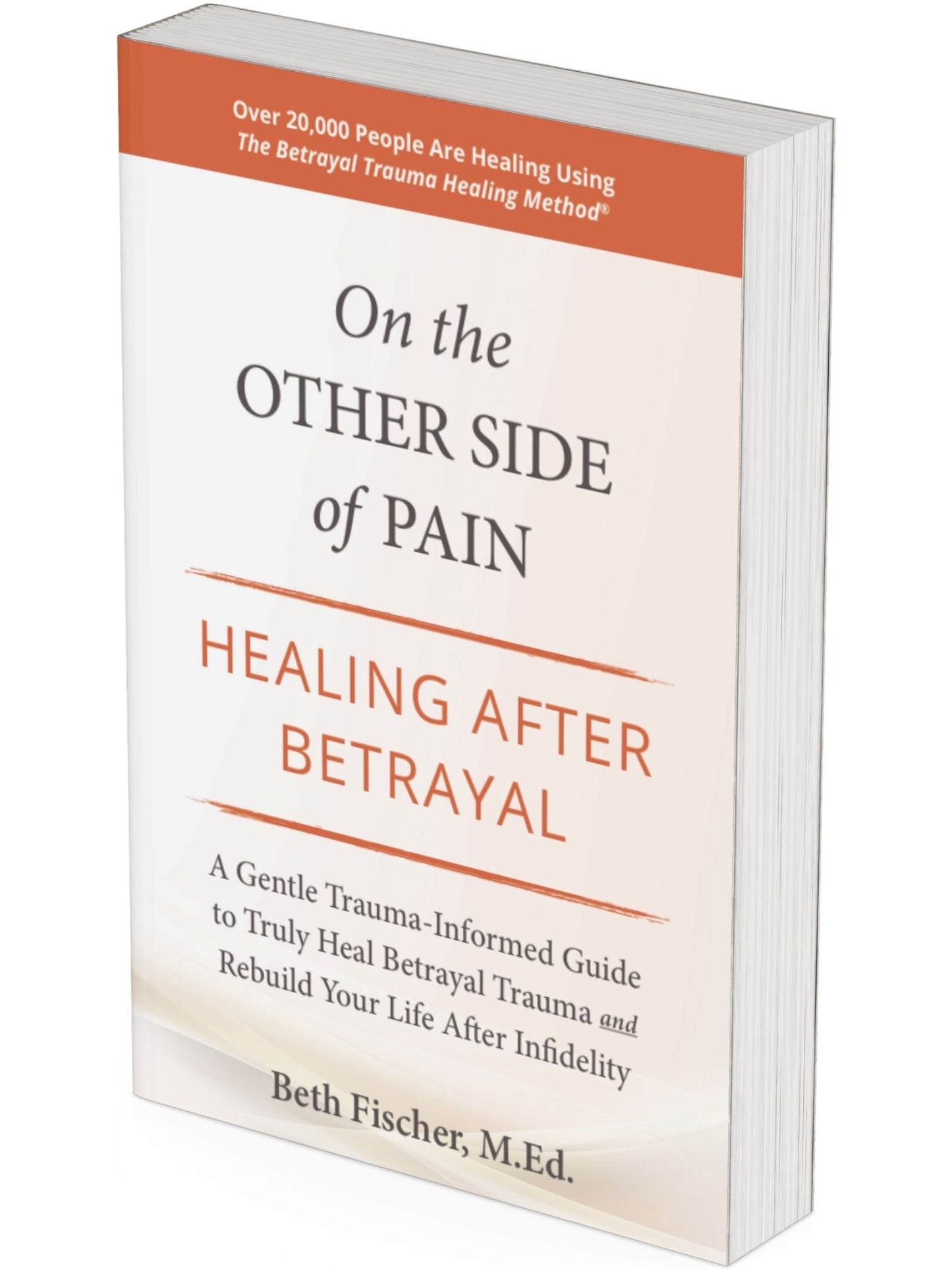 Self Help Book ON THE OTHER SIDE OF PAIN  Beth Fischer M.Ed.